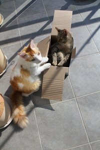 jamie 10.08.12 11.jpg