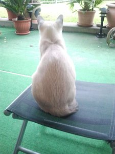 2012-10-24 17.11.31.jpg