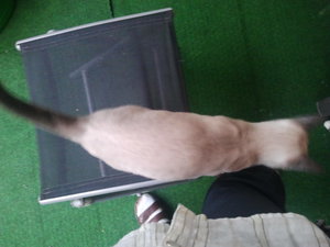 2012-10-24 17.19.40.jpg