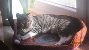 September 2012 057.jpg