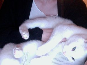 Foto am 25-10-2012 um 19.36.jpg