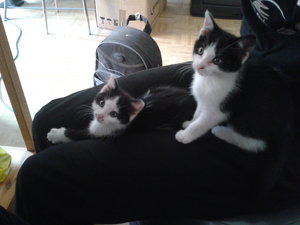 2012-10-06 13.21.03.jpg