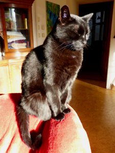 Otti auf Sesselkante.jpg