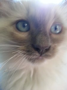 Foto 27.10.12 13 24 22.jpg