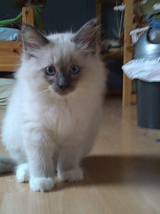 Foto 24.10.12 15 33 03.jpg