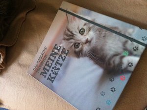 Foto 28.10.12 08 12 24.jpg