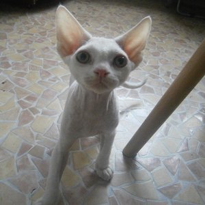 PA261930 (640x640).jpg