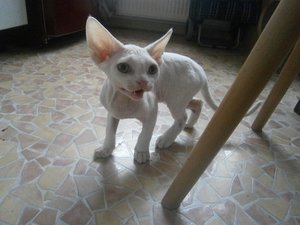 PA261929 (640x480).jpg