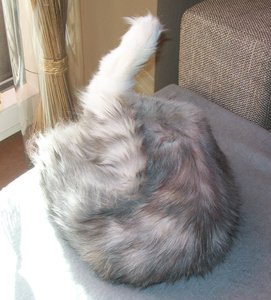 Chico&Azula 10.04.2011 044.JPG