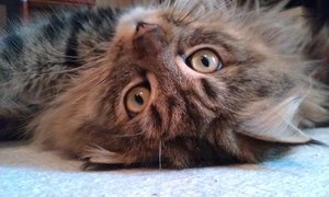 2012-11-01 08.54.07.jpg