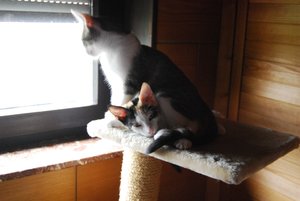 Kopie von DSC_0241.JPG