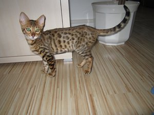 2012-10-31 16.05.18 Sunny + Joey.jpg