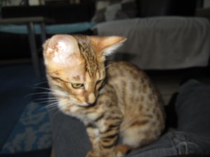 2012-10-31 16.09.51 Sunny + Joey.jpg