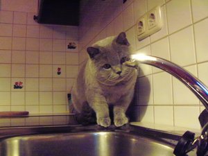 Kodak Kamera 088.jpg