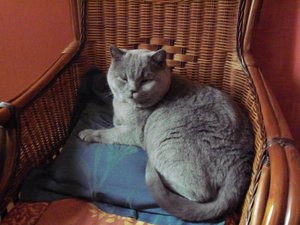 Kodak Kamera 084.jpg