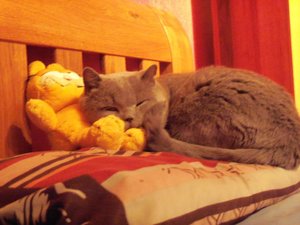 Kodak Kamera 142.jpg