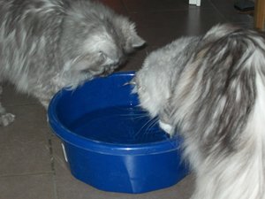 Trofu fischen 012.jpg