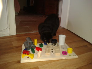 2012-11-10 11.44.56.jpg