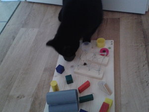 2012-11-10 11.49.56.jpg