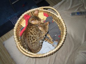 2012-10-08 16.20.20 Sunny + Joey.jpg