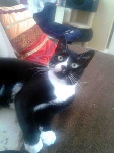 2012-08-15 16.40.18.jpg