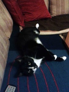 2012-10-19 22.39.56.jpg