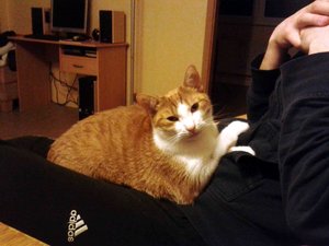 2012-10-01 22.45.56.jpg