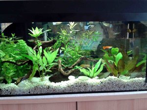 2012-11-14 10.17.34.jpg