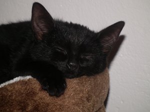 DSCF4486 - Kopie.jpg