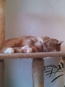 2012-08-28 10.37.20.jpg