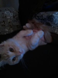 Erstes kuschelnmitFinni.jpg