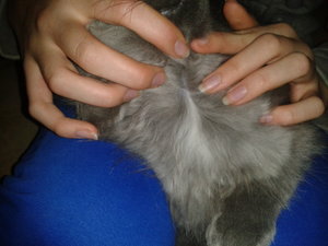 2012-11-18 18.54.44.jpg