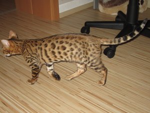 2012-11-15 20.27.16 Sunny + Joey.jpg