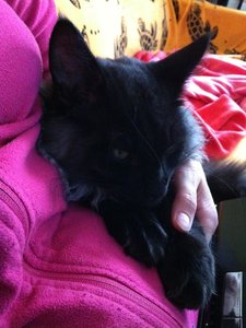 Unterm Arm Fussel.jpg