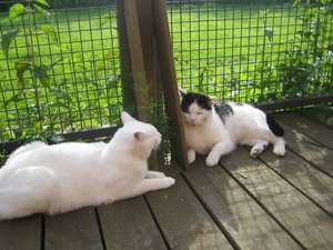 Sonnenmontag 008.jpg