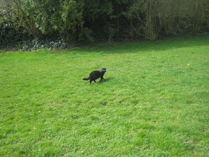 Urlaub 2011 im April 065.jpg