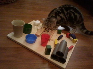 2012-11-22 21.29.53.jpg