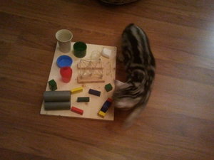 2012-11-22 21.25.52.jpg