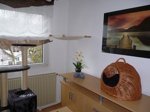 Hängematte klein.jpg