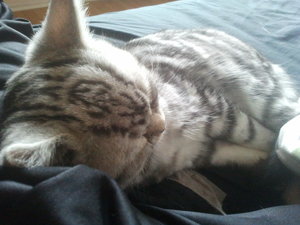 2012-11-05 14.07.08.jpg