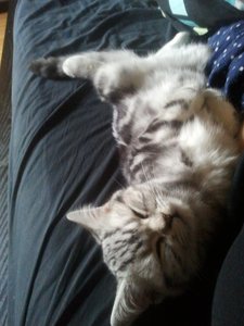 2012-11-06 09.49.31.jpg