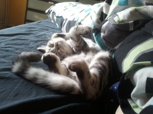 2012-11-07 11.02.29.jpg