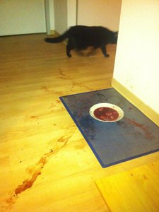 ImageUploadedByTapatalk1353879206.452943.jpg ImageUploadedByTapatalk1353879206.452943.jpg