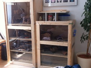 2012-07-29 11.29.37 Haustiere.jpg