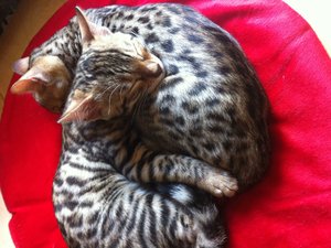 Foto 15.07.12 13 38 12.jpg