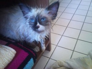 527305_426754037383696_720530035_n (1).jpg