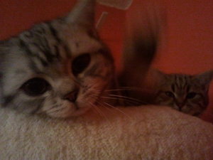 2012-12-11 23.10.41.jpg