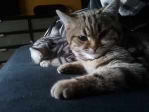 2012-12-14 11.13.00.jpg