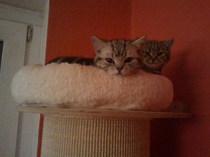 2012-12-11 23.10.26.jpg