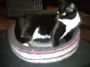 2012-12-20 20.31.28.JPG